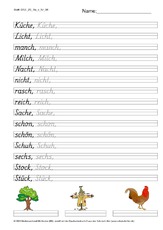 DSS_2S_Bu_c_Nr_06.pdf